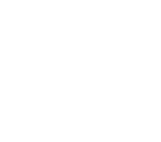 Logo Cefti White